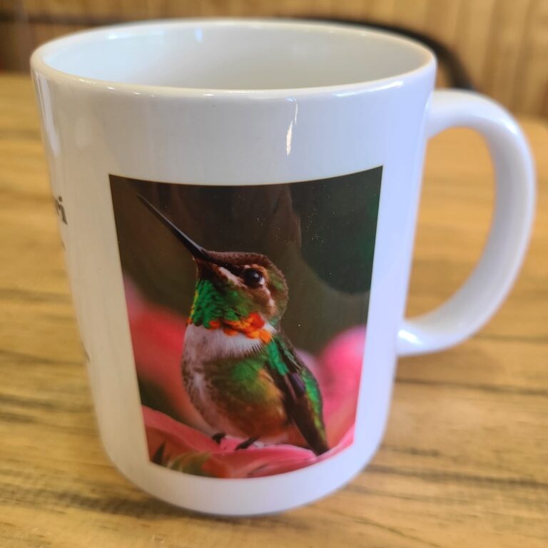 Colibri - Canela y Anis