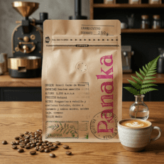Cafe en Grano 250 g tostado medio - Panaka